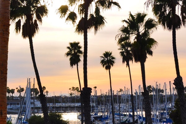 Financial Planning Help | Long Beach | Irvine | TSG Wealth Management