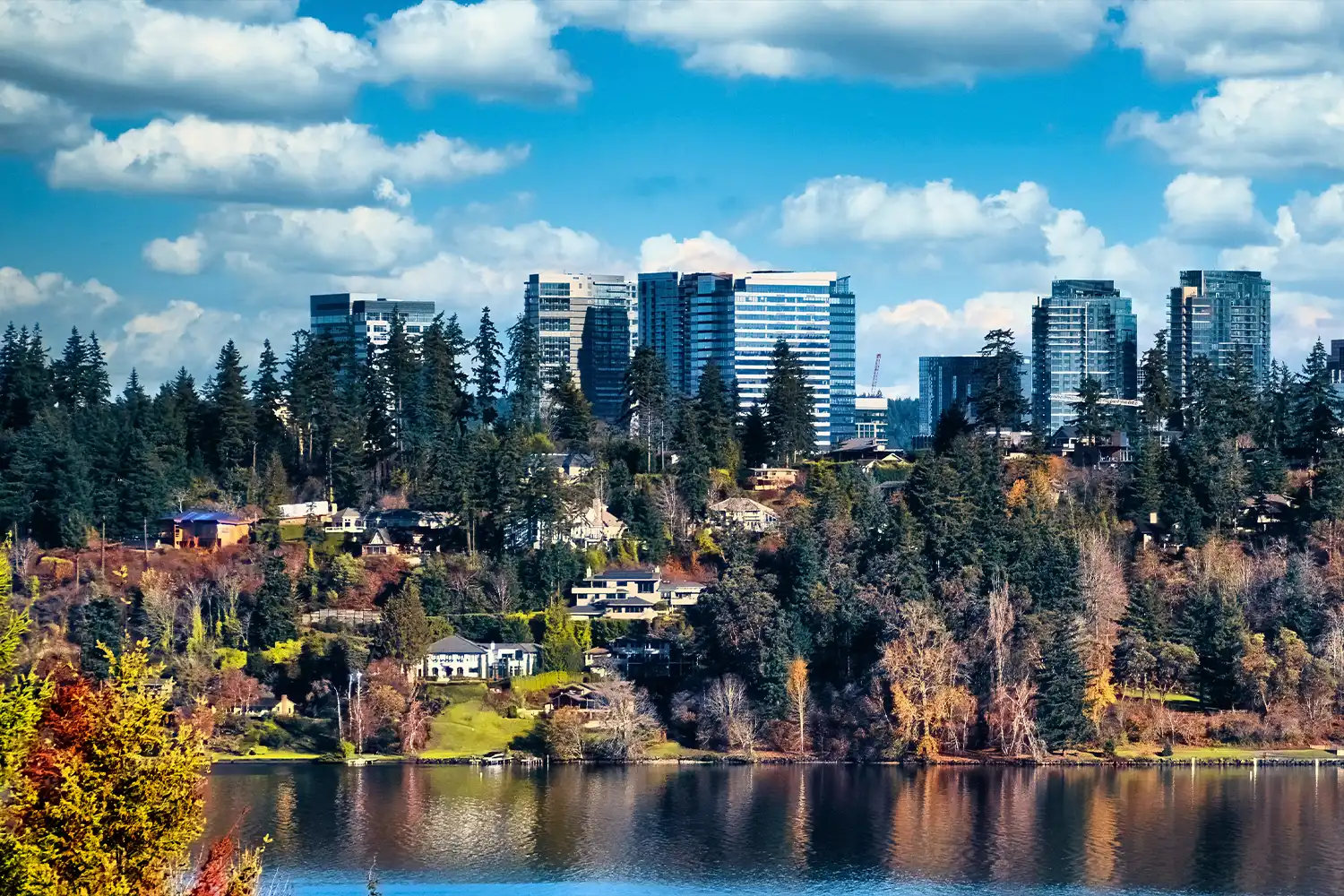 TSG-Wealth-Management-Bellevue TSG Wealth Management - Bellevue